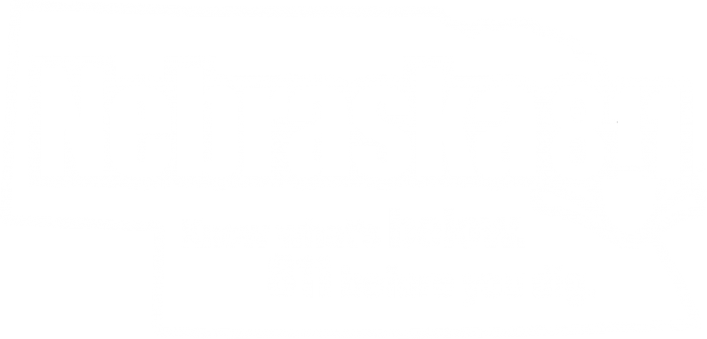 An image of the new Nebraska811 digital logo in white